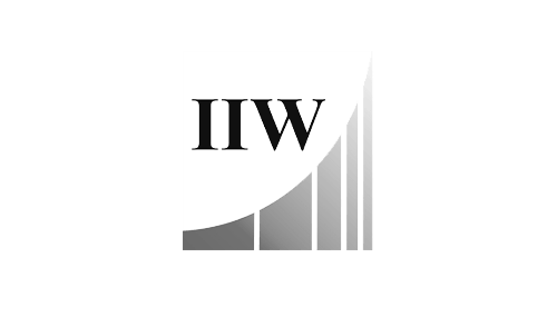 IIW Digital-Insitut
